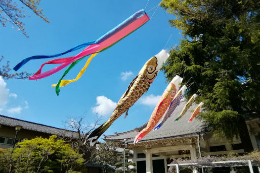 法善寺保育園(東京都北区)
