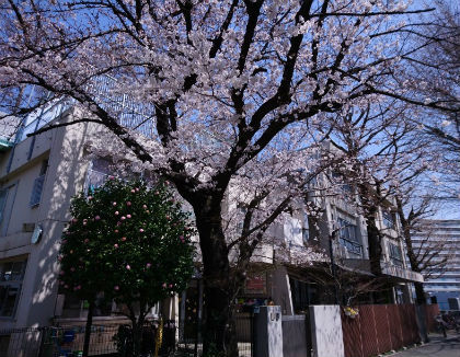 法善寺保育園(東京都北区)