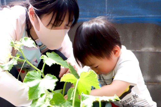 ひまわりのおうち(東京都西東京市)