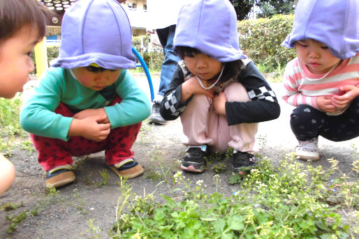 田無ひまわり保育園(東京都西東京市)