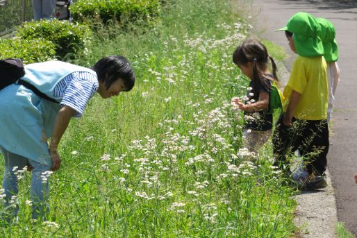 木の実保育園(東京都北区)