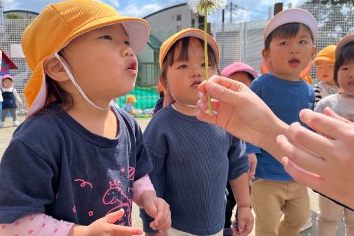 かつしかプラス（花の木小学校）(東京都葛飾区)