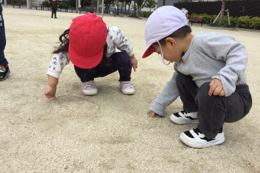 さかえ保育園(東京都葛飾区)