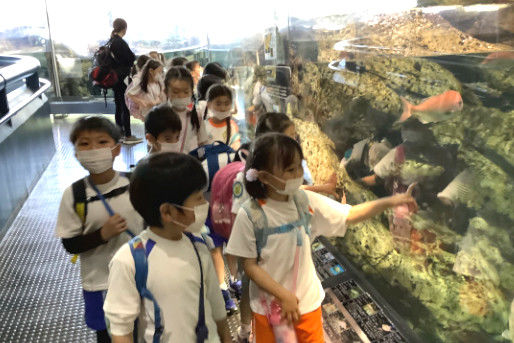 つぼみ保育園(東京都江戸川区)