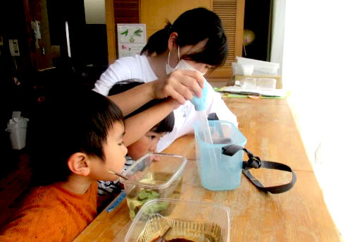 敬愛学園法人採用（保育園／認定こども園）(東京都八王子市)