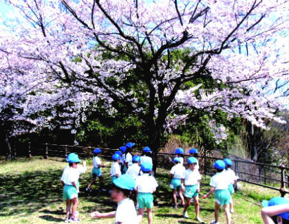 なみのり第二保育園(東京都八王子市)