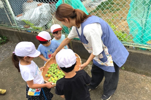  東京都西国立保育園／西国立保育園分園（2園合同募集）(東京都立川市)