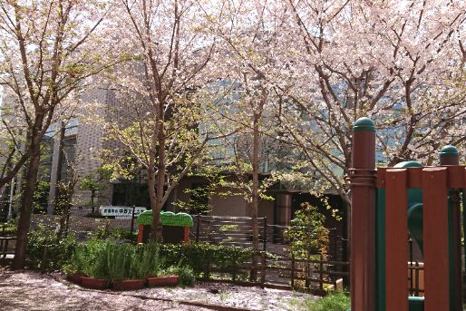 陽だまりの丘保育園(東京都中野区)