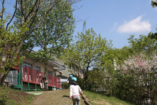 ねむの木保育園(東京都町田市)