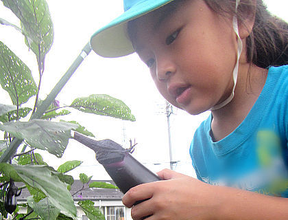秋川あすなろ保育園(東京都あきる野市)