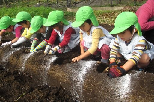 わかばの森保育園(神奈川県横浜市旭区)