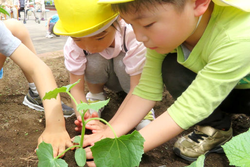 けいわ星の子保育園(神奈川県厚木市)