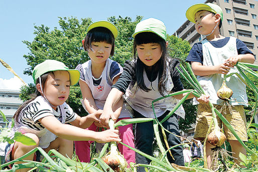 キンダーガーデンこばと(神奈川県厚木市)