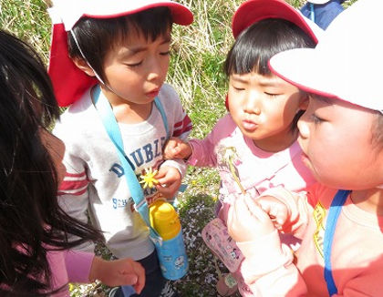 認定こども園栄冠幼稚園(福井県福井市)
