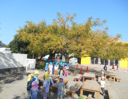 認定こども園 子育てセンターみなみしま(静岡県磐田市)