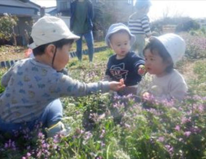 認定こども園　子育てセンターなかぜ(静岡県浜松市)