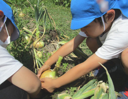 子育てセンターひだまり保育園部(静岡県掛川市)