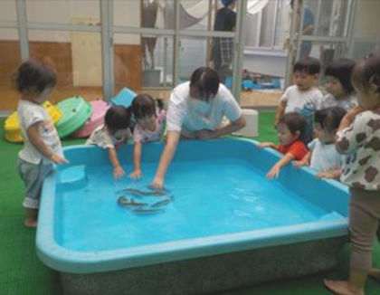 認定こども園 子育てセンターきぶね(静岡県浜松市)
