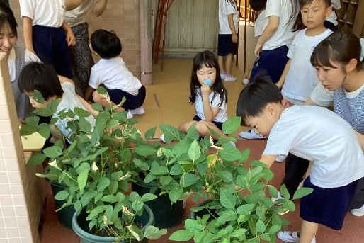 唐臼こども園(愛知県津島市)