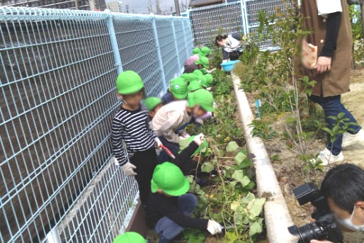 日の本保育園(三重県四日市市)