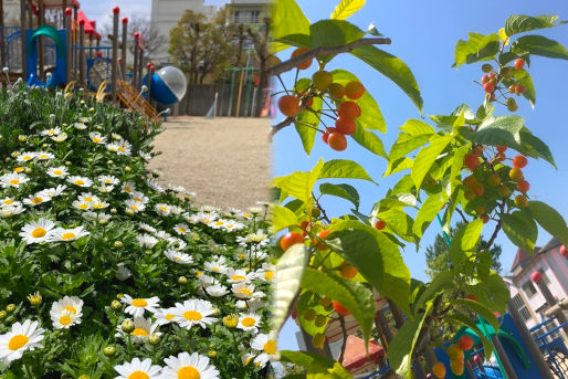 認定こども園 郡山敬愛保育園(大阪府茨木市)
