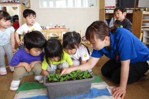 保育園千里山キッズ(大阪府吹田市)