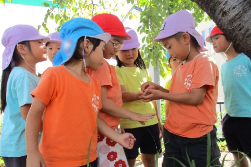 上野ひだまりこども園(大阪府豊中市)
