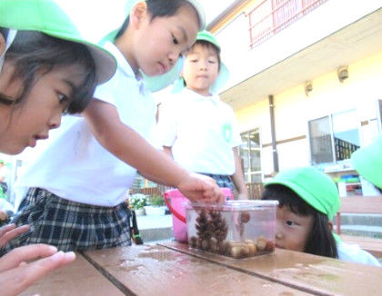 こども園城東チャイルドセンター(岡山県岡山市中区)
