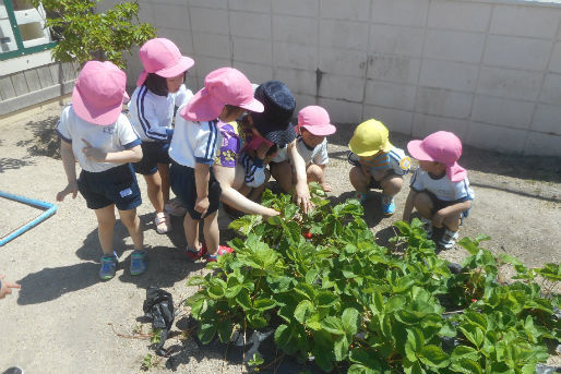 築港ちどり保育園(岡山県玉野市)