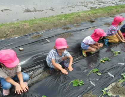 白川保育園(福岡県京都郡苅田町)
