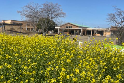 認定こども園 明野台こども園(大分県大分市)