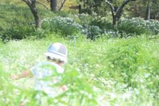 ミルキー・マリー保育園(鹿児島県鹿児島市)