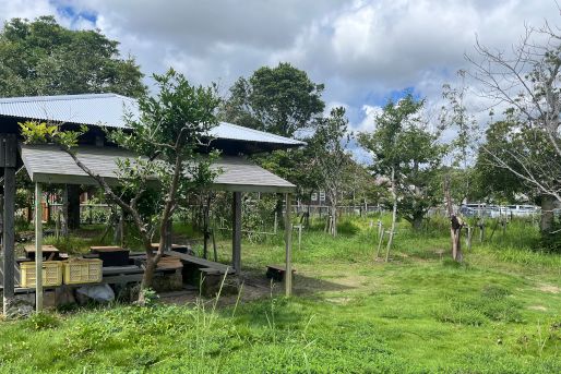 こども園　ほしのこ(鹿児島県南九州市)