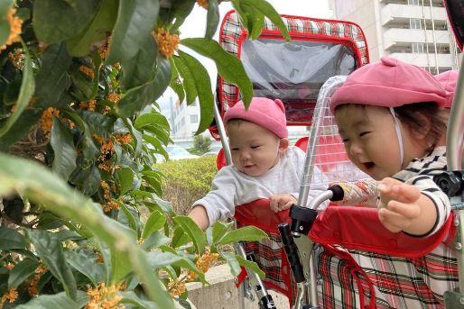 にじのいるか保育園南葛西(東京都江戸川区)