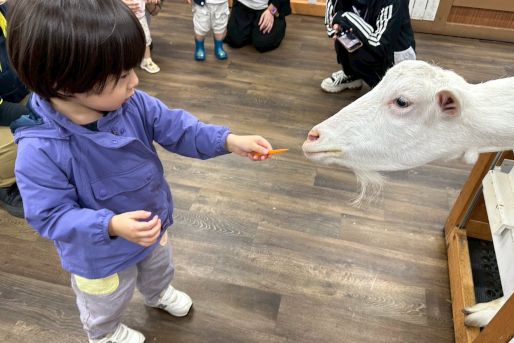 みんなの遊々保育園(東京都江戸川区)
