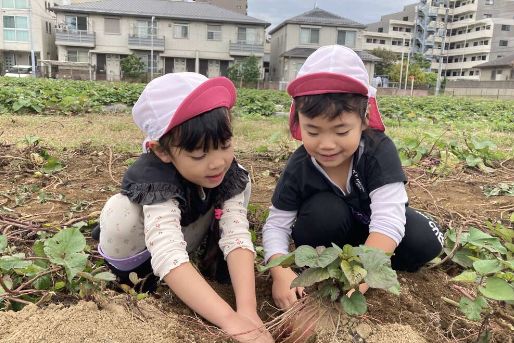 にじのいるか保育園南葛西(東京都江戸川区)