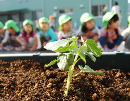 墨田区立亀沢保育園(東京都墨田区)