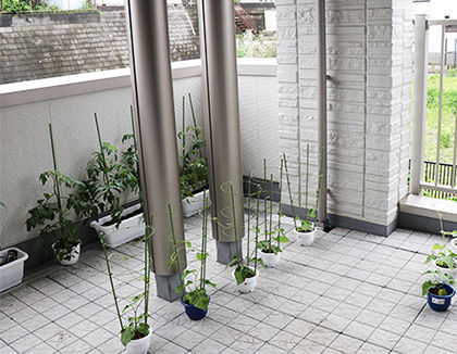 キッズパートナー大倉山(神奈川県横浜市港北区)