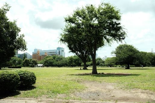MIWA木場公園保育園(東京都江東区)