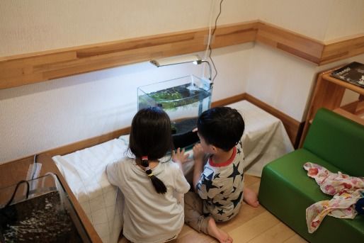 MIWA木場公園保育園(東京都江東区)