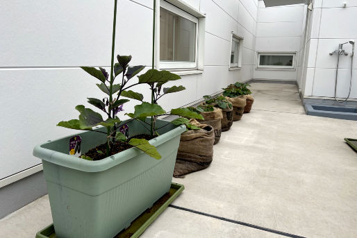 モニカ矢口渡園(東京都大田区)