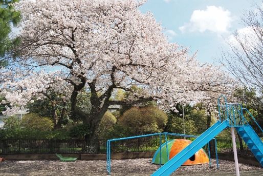 町田ときわ保育園(東京都町田市)