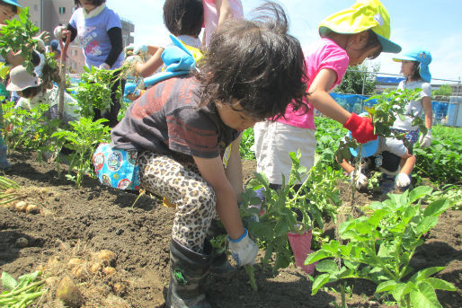 あおぞら保育園(富山県中新川郡立山町)