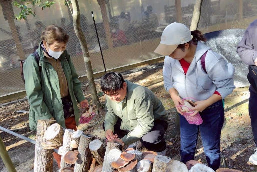 ひかり保育園 分園(大阪府堺市中区)