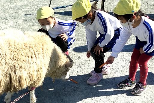 前沢幼稚園 (東京都東久留米市)