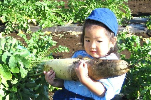前沢幼稚園 (東京都東久留米市)