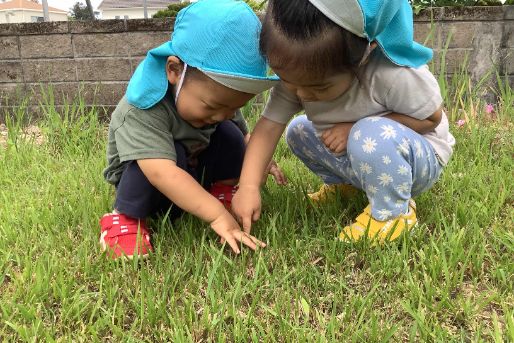 きゃんばす子安台保育園(神奈川県横浜市神奈川区)