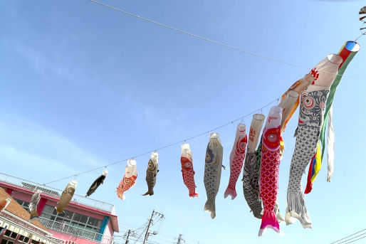 幼保連携型認定こども園　さざれ幼稚園(千葉県千葉市花見川区)