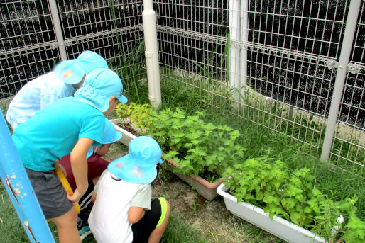 詩織保育園(愛知県名古屋市西区)