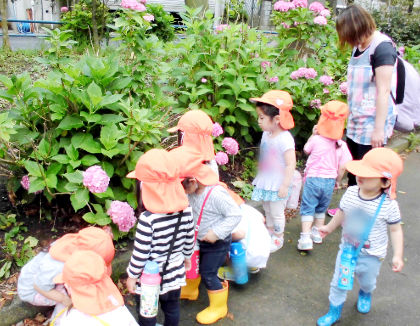 ししの子保育園おゆみ野(千葉県千葉市緑区)
